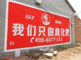 仁寿刷墙广告”蕴含了时代命题