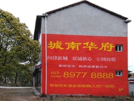 仁寿百分之90的人都不了解的农村墙体广告