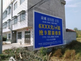 仁寿墙体广告质量分析