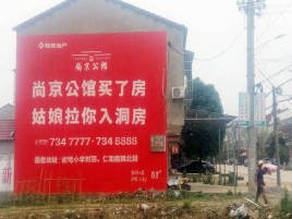 仁寿墙体广告在乡镇、农村市场的媒体优势