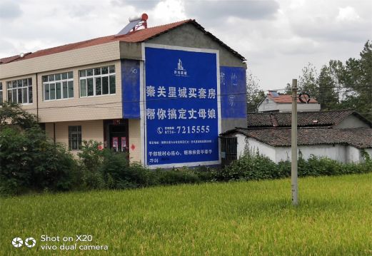 仁寿决定墙体广告价格的因素有哪些?