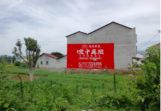 仁寿做墙体广告的意义