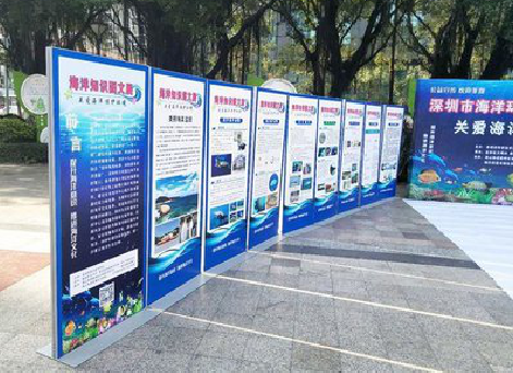 仁寿KT板的种类和知识。